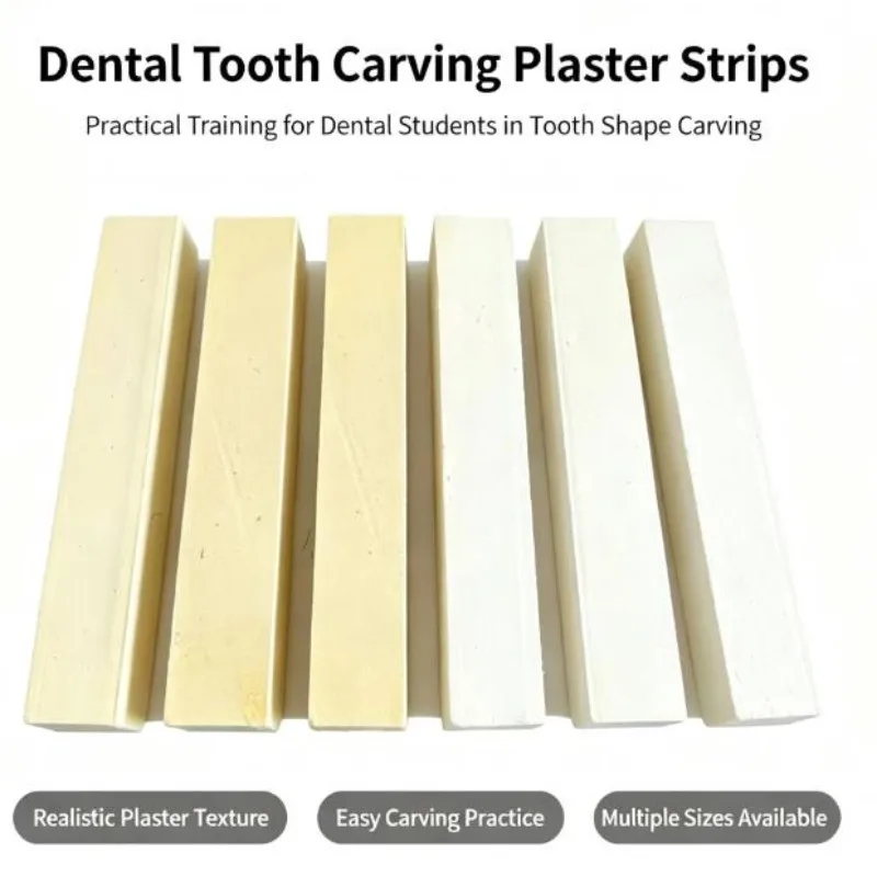 Dental Plaster Carving Practice Blocks Tooth Morphology Practice Plaster Stones Dental Teaching Lab Simulation Material 10pack