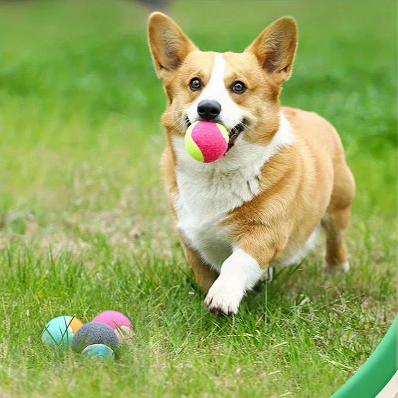 1/2pc Hard Ball Pet Biting Ball Training for Grinding Teeth Tennis Suitable for Pets to Play with Small Dogs Pet Supplies TMZ