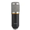 Sound Recording Studio Microphone Portable And Lightweight Professional-grade Performance Sleek black silver