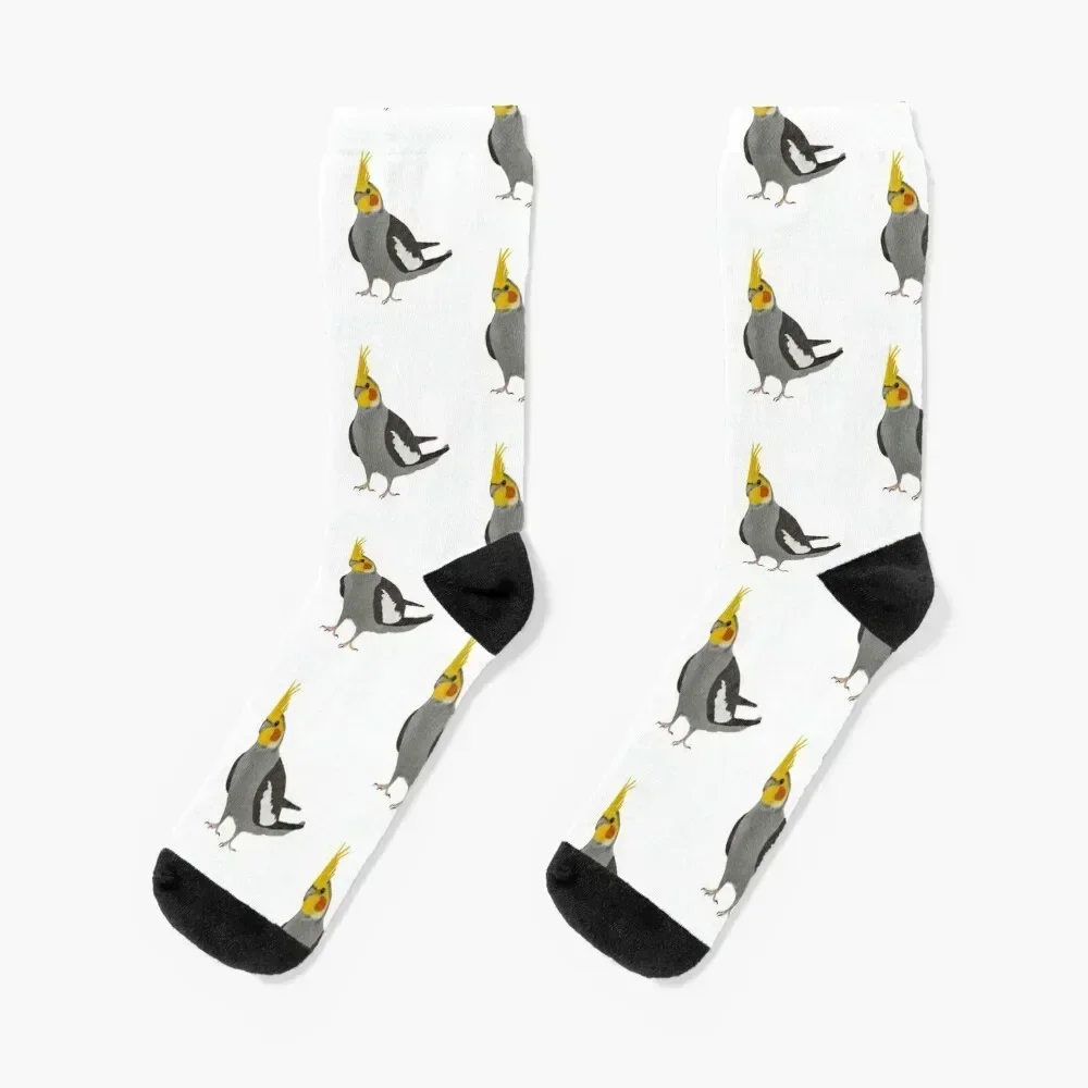 Cockatiel Parrot Calcetines algodón hombre Lotes medias navideñas Calcetines Mujer Hombre