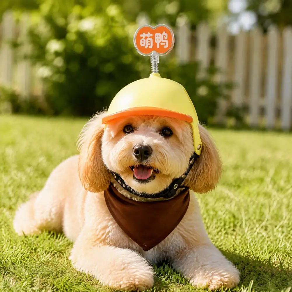 Outdoor Pet Protection Gear Adjustable Mini Puppy Helmet for Small Medium Dogs Lightweight Protective Pet Safety Hat
