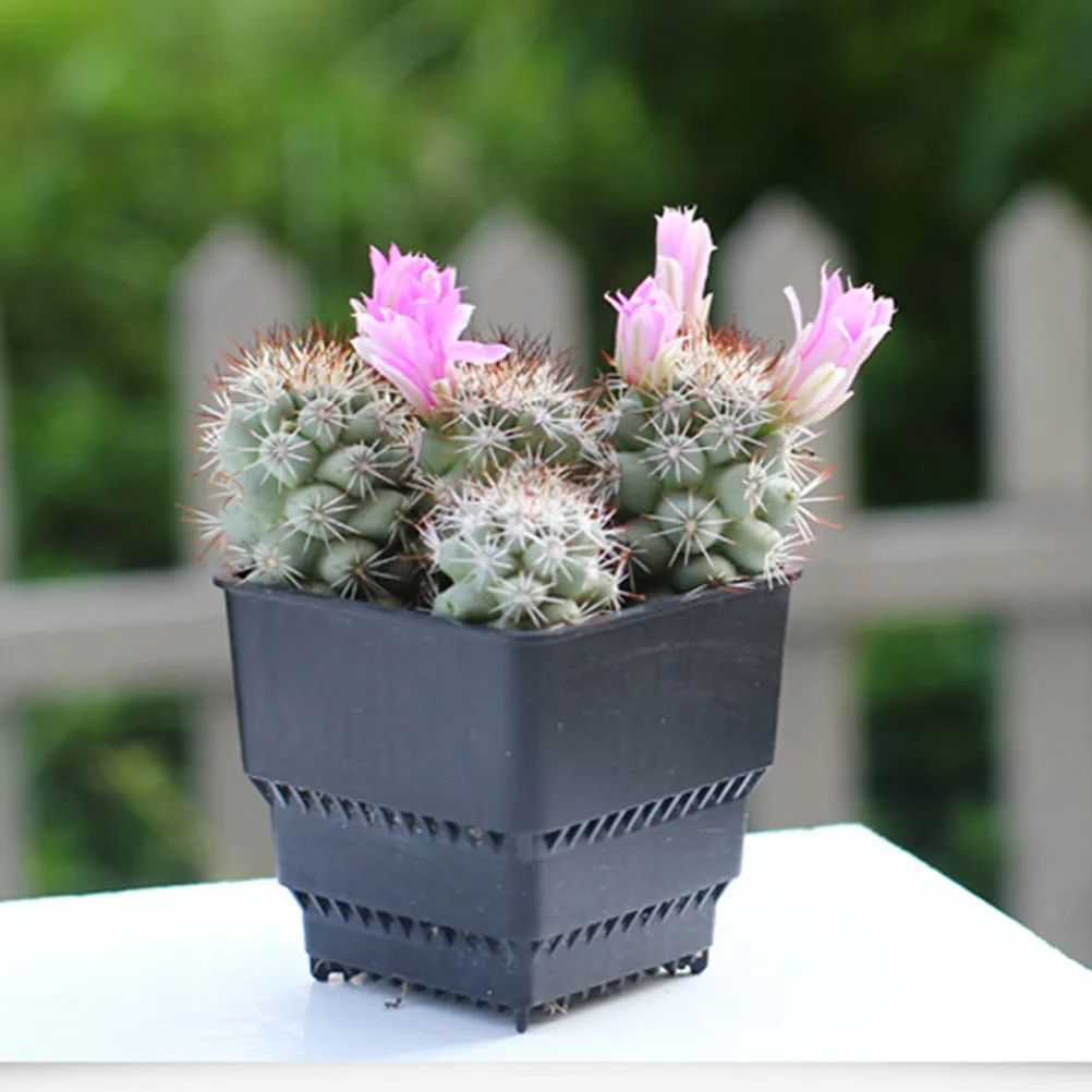 8Pcs Root Control Resin Flower Pots Square Plastic Succulent Plant Pots Black for Cactus Bonsai Balcony Planting Greenhouse