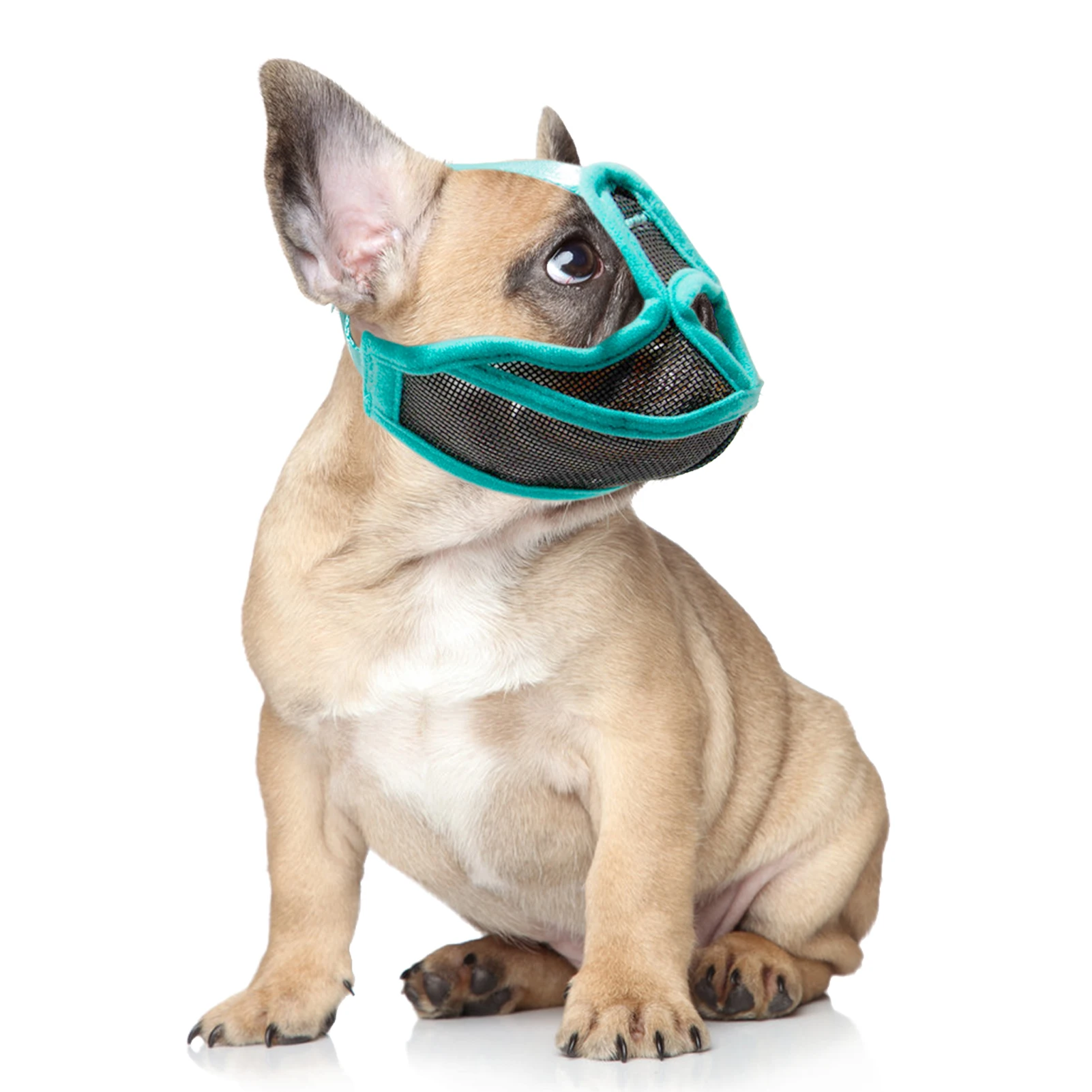Short Snout Dog Muzzle Mesh Adjustable Breathable Anti Biting Bulldog Short Snout Muzzle for Dogs Short Snout Dog Muzzle Mesh