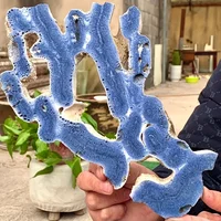 1pc High-Quality Blue Ocean Coral Slab - Bohemian Style, Irregular Shape, Ideal for Room & Table Decor