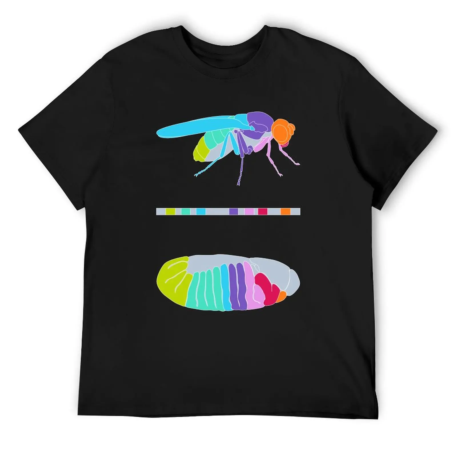 Drosophila Hox Genes T-Shirt shirts graphic tee cheap stuff men tshirt