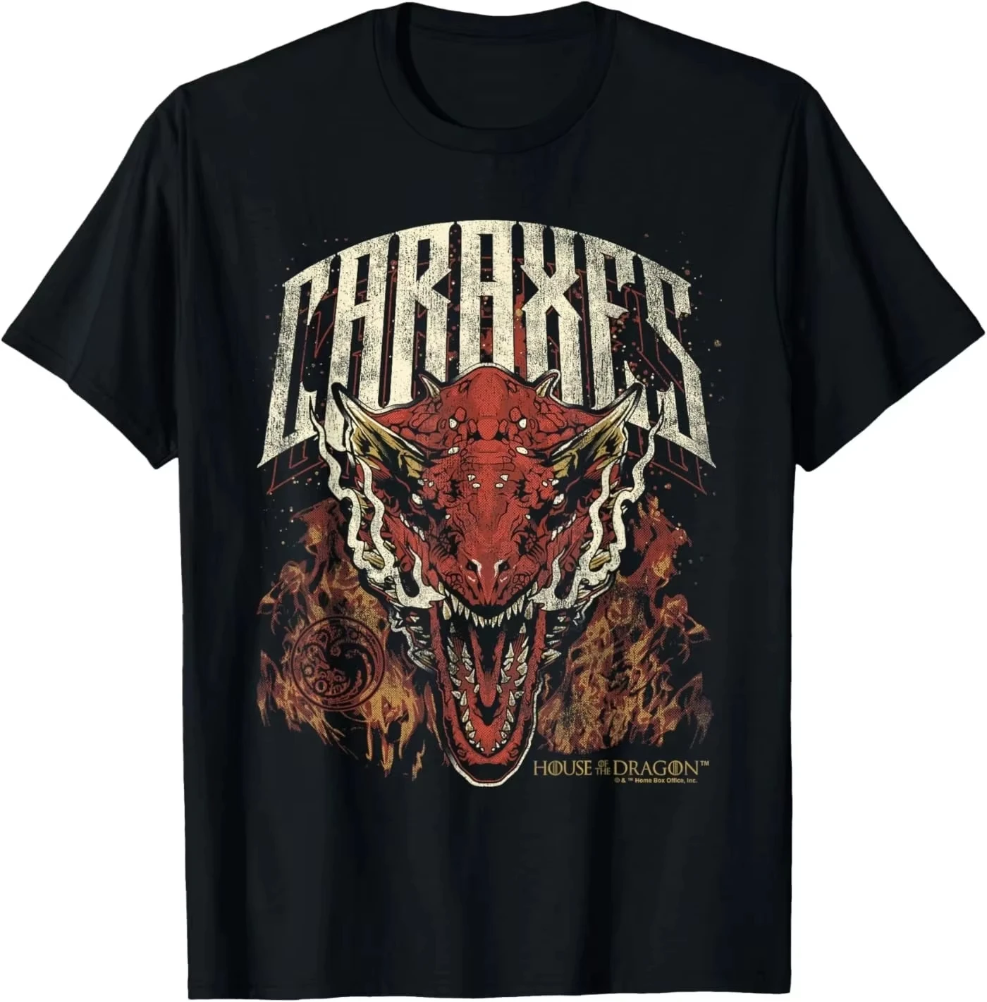 2026 dragon graphic tee, fantasy beast print shirt, retro fire creature , medieval myth casual tee, Kids Adults, distressed top