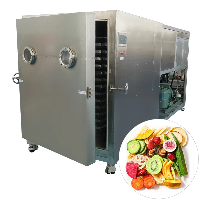 Vacuum Drying Equipment China Lyophilization  Freeze Drying Machine Industrial for Fruit Food  Customized