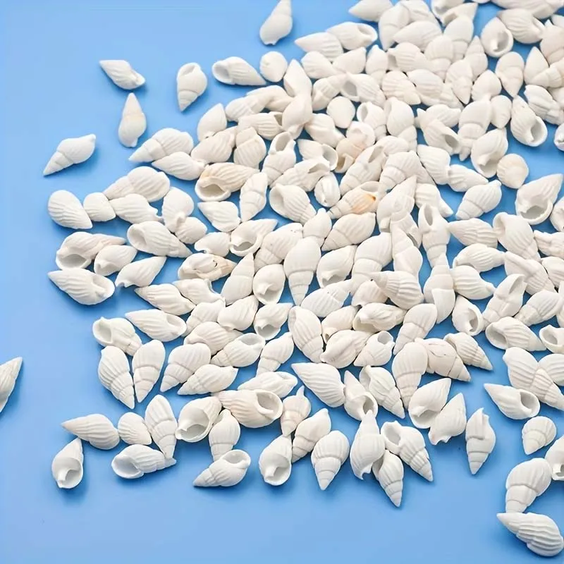 200pcs Small White Clam Cay Seashells Natural Tiny Sea Shell Mini Spiral Conch Shells Crafts Accessories for DIY Fish Tank Vase