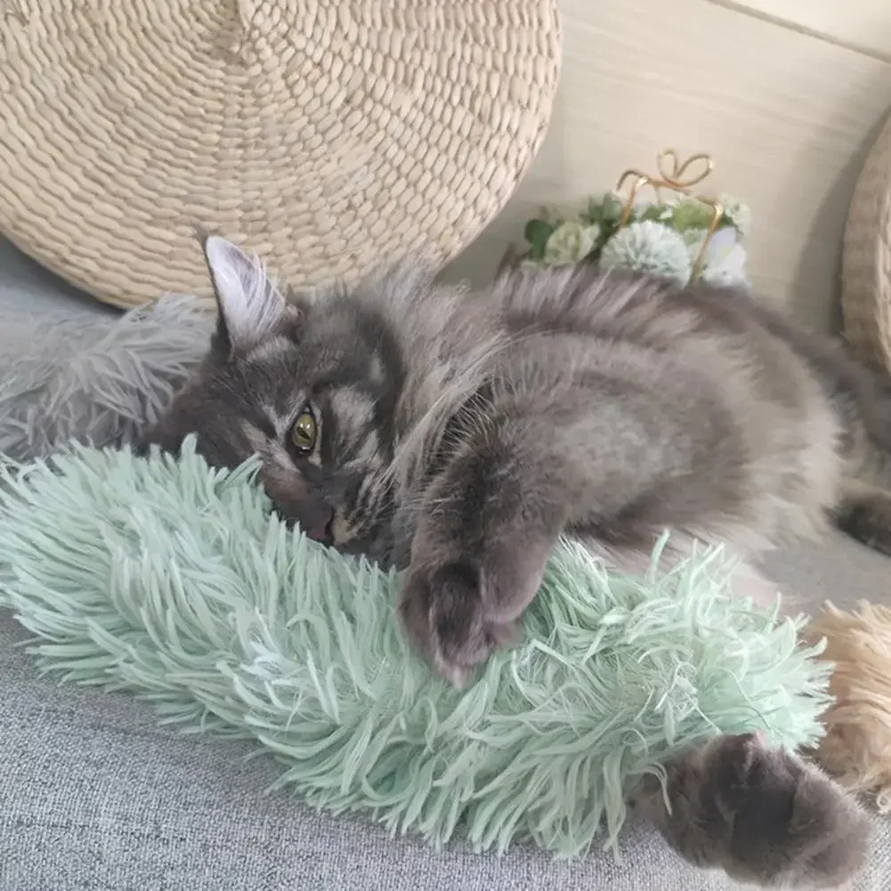 Jouet En Peluche Doux Et Résistant Aux Morsures Pour Chat, Oreiller Avec Papier Sonore, Herbe À Chat Pour Apaiser Les Relevé