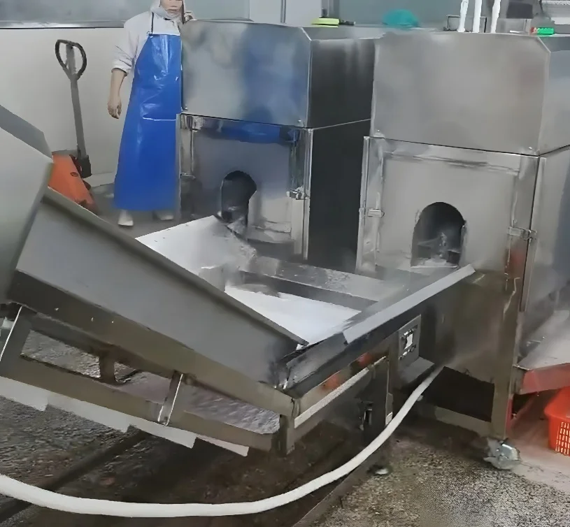 해산물 가공 공장 생선 배꼽 및 등 세척 기계 생선 절단 및 세척 기계 해상 운송
