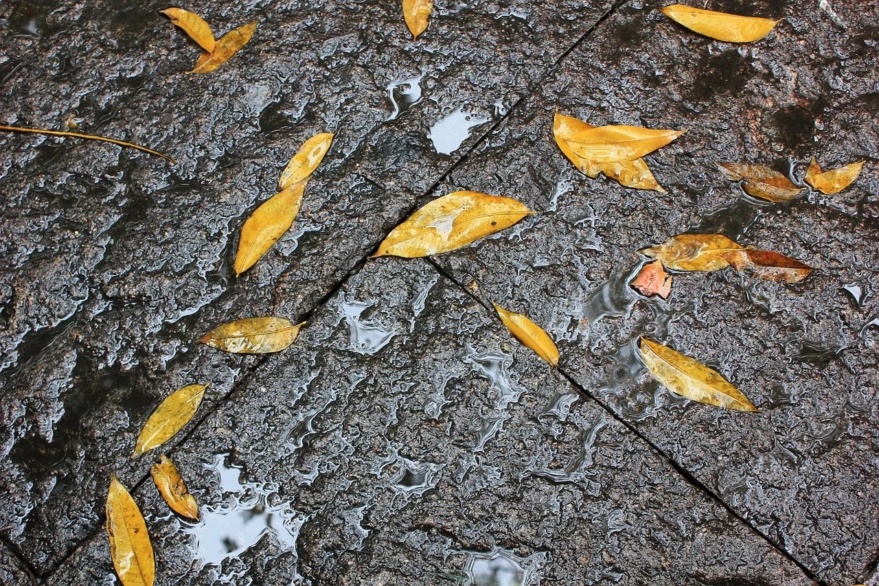 RCtown HBX 2098B 1/24 4WD мини RC автомобиль гусеничный металлический шасси для детей игрушечные взрослые