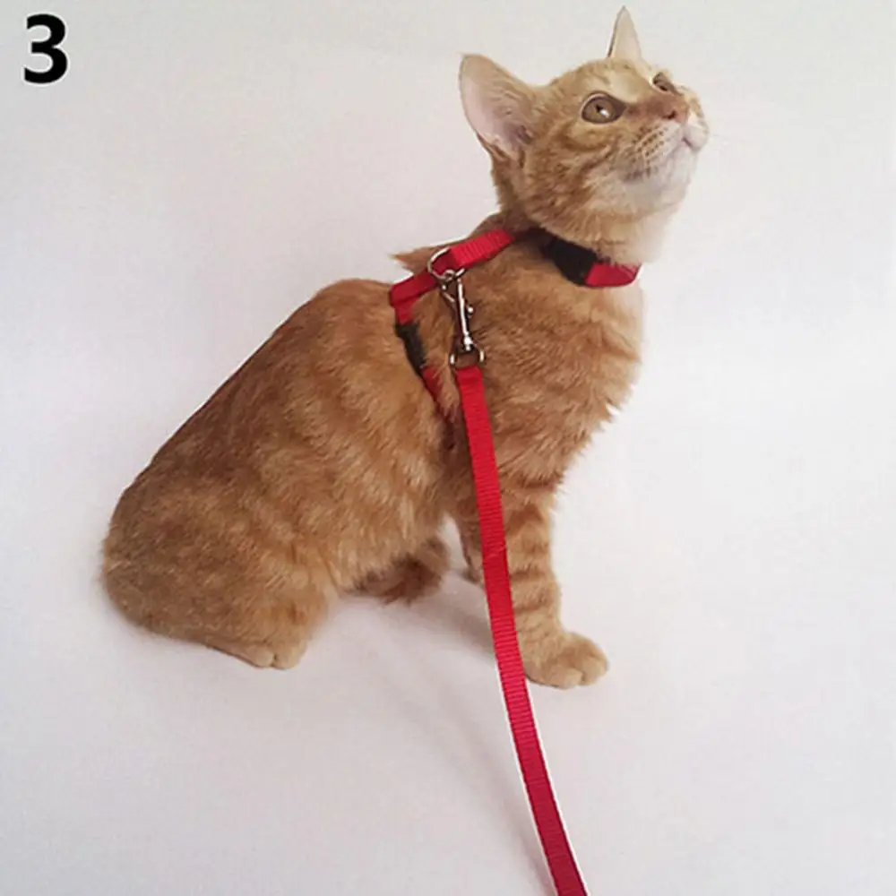 4 Color Adjustable Pet Cat Collar For Cats Cozy Nylon Rabbit Kitten Kedi Harness Leash Set Dog Cat Accessories Products For Pets