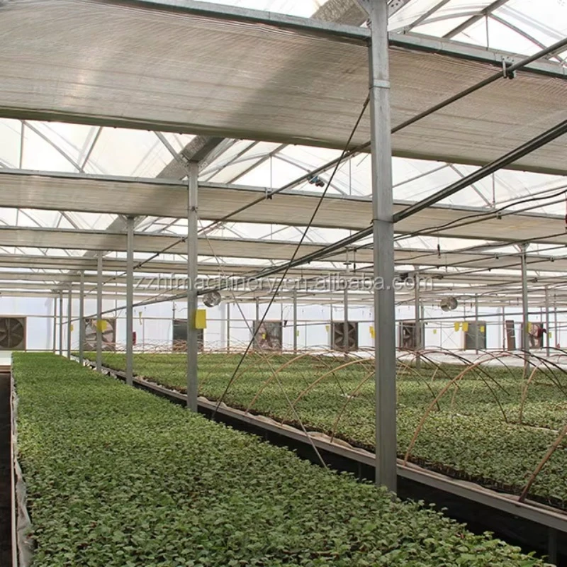 الدفيئات الزراعية نوع الزراعة المائية التجارية الدفيئة سعر البيت الأخضر