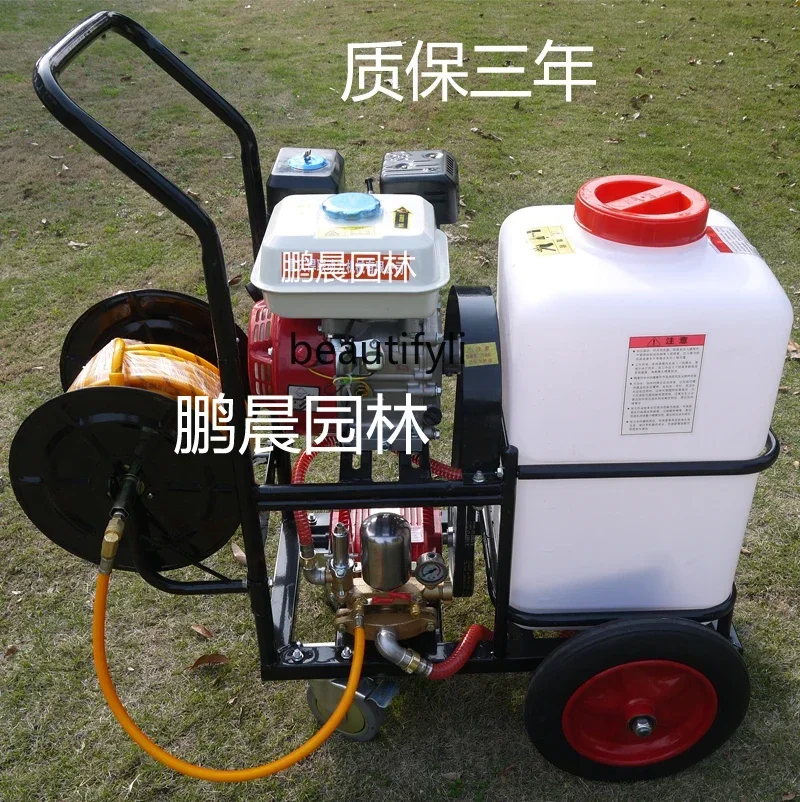 NN60L Ручной распылитель высокого давления 168, бензиновый медный насос, стиральная машина
