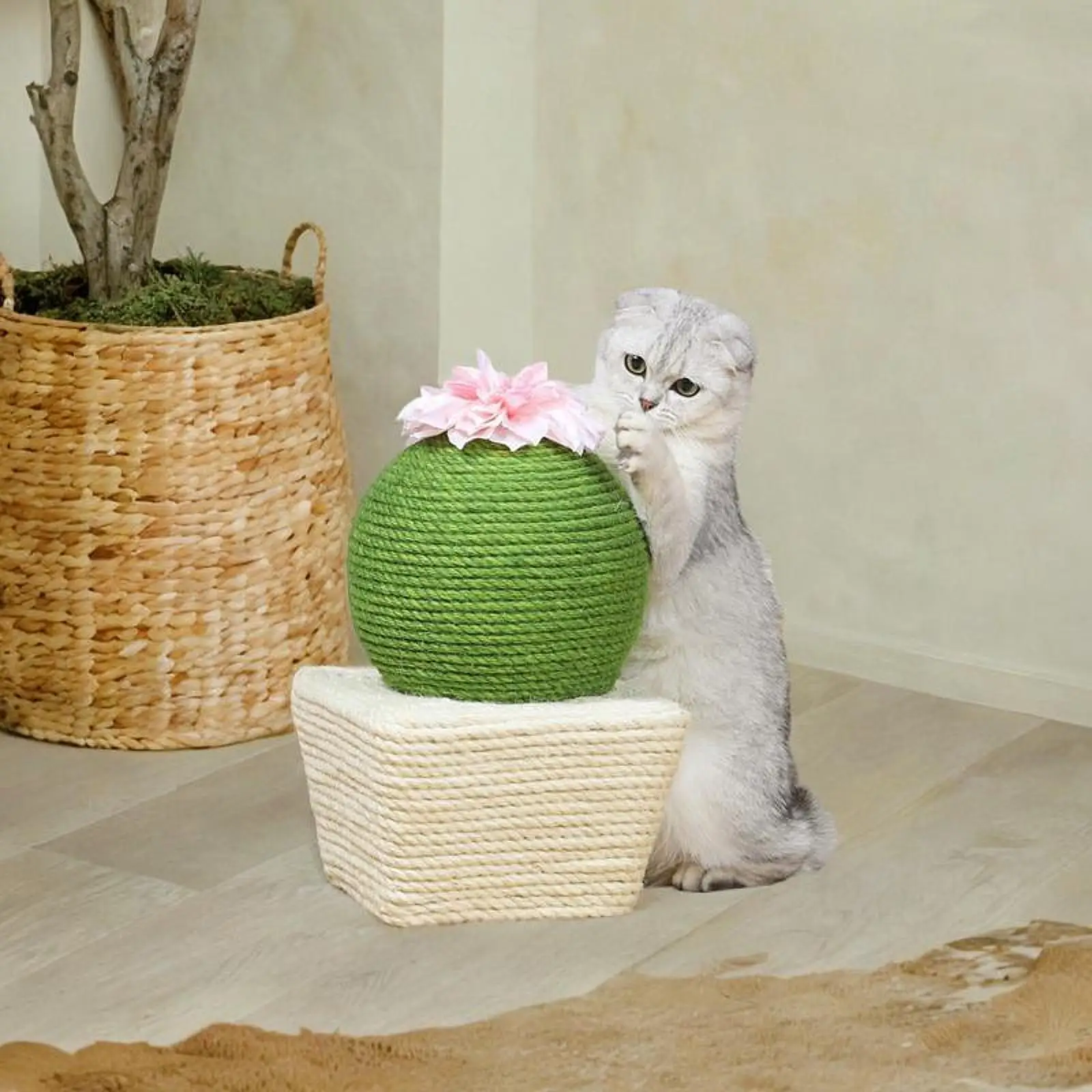 Cat Scratcher Ball Cactus Ball Shaped Interactive Grind Claw Furniture Protection Cat Scratching Post Cat Play Toy Ball for Cats