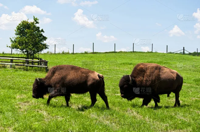 

For MJX Hyper Go 1/16 16207 H16BM-PL 1/14 14210 H14BM 14301-02-03 RC cars parts Upgraded Metal Front and Rear Differential Gear