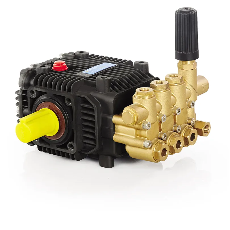 Plunger Pump for Machine Pump Plunger and Element Assembly Plunger Pump