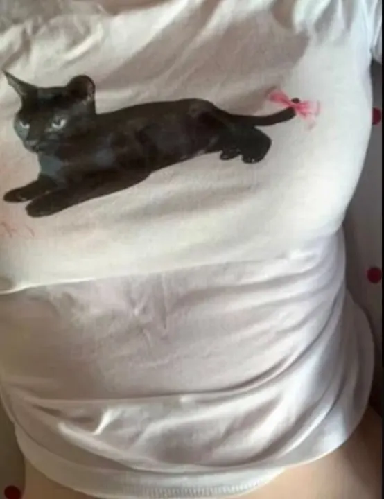 Cat With Bow Preppy Baby Tee Coquette Clothing 90s Style Short Sleeve Tee For Women Aesthetic Clothing Cat lover Top Y2k T-shirt