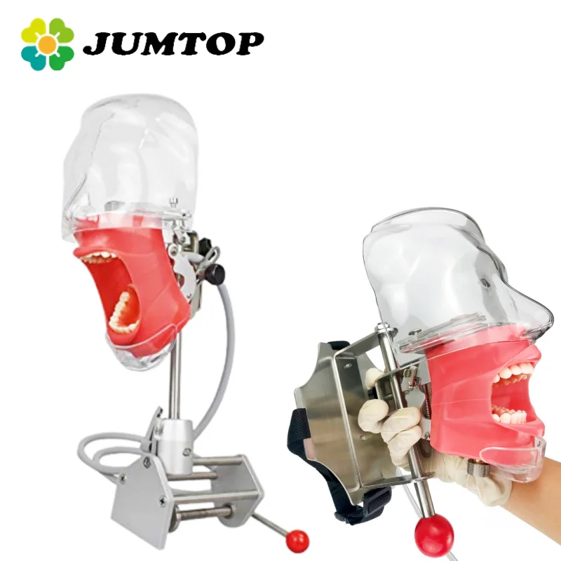 

JUMTOP Dental Simple Head Model Practice Training Simulator Phantom Head Typodont Removable