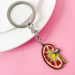 Medsor Medical Anatomy Kidney Keyring Medicine Urology Enamel Keychain Bag Backpack Doctor Nurse Jewelry Accessories