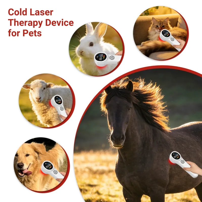1760mW 660nm 810nm 980nm Photobiomodulation LLLT NIR Cold Laser Therapy - Handheld Pro for Frozen Shoulder Pain Relief Home Use