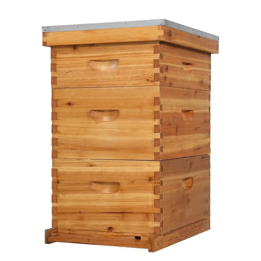 Frame Bee Hive, Wax…