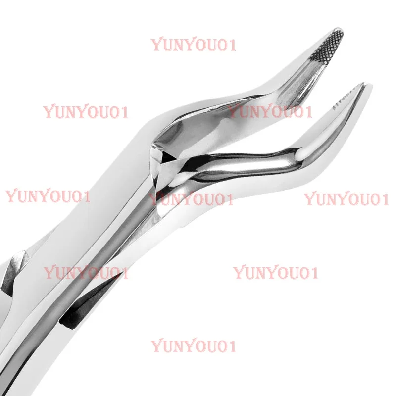 Adult Extraction Pliers Uncoated Stainless Steel Extraction Pliers Dental Pliers