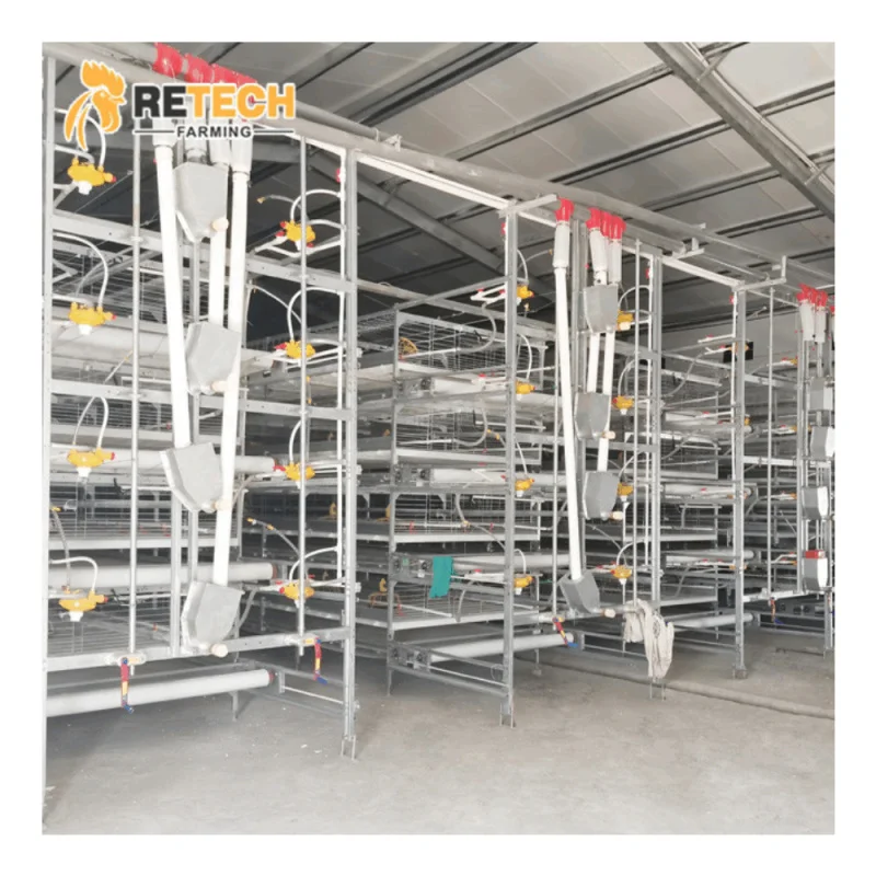 

Automatic Hot Galvanized Poultry Battery Farm H Type Broiler Chicken Cage