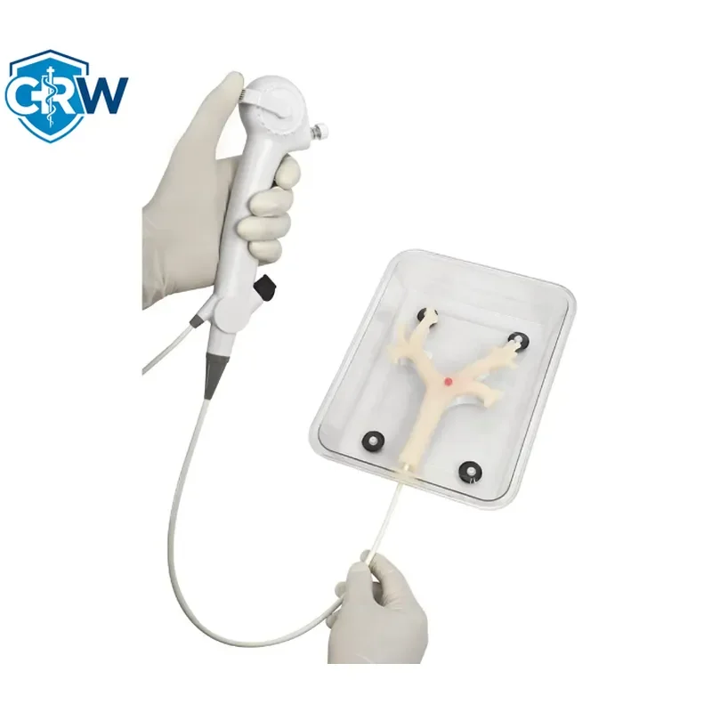 CRW Bestselling Medical Science Bronchoscopy Training Model for Teaching Fibrous Bronchoscopy Exercise Secondary