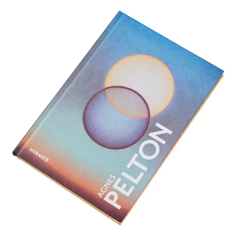 アグネス・ペルトン・ギルバート・ヴィカリオ・ヒルマー 9783777439297 本