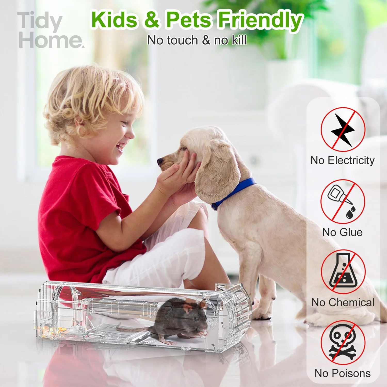 

4Pcs Humane Live Mouse Trap Reusable Rat Rodent Trap Catch Release Cage Safe for Family Children Pets Easy Setup guinea pig