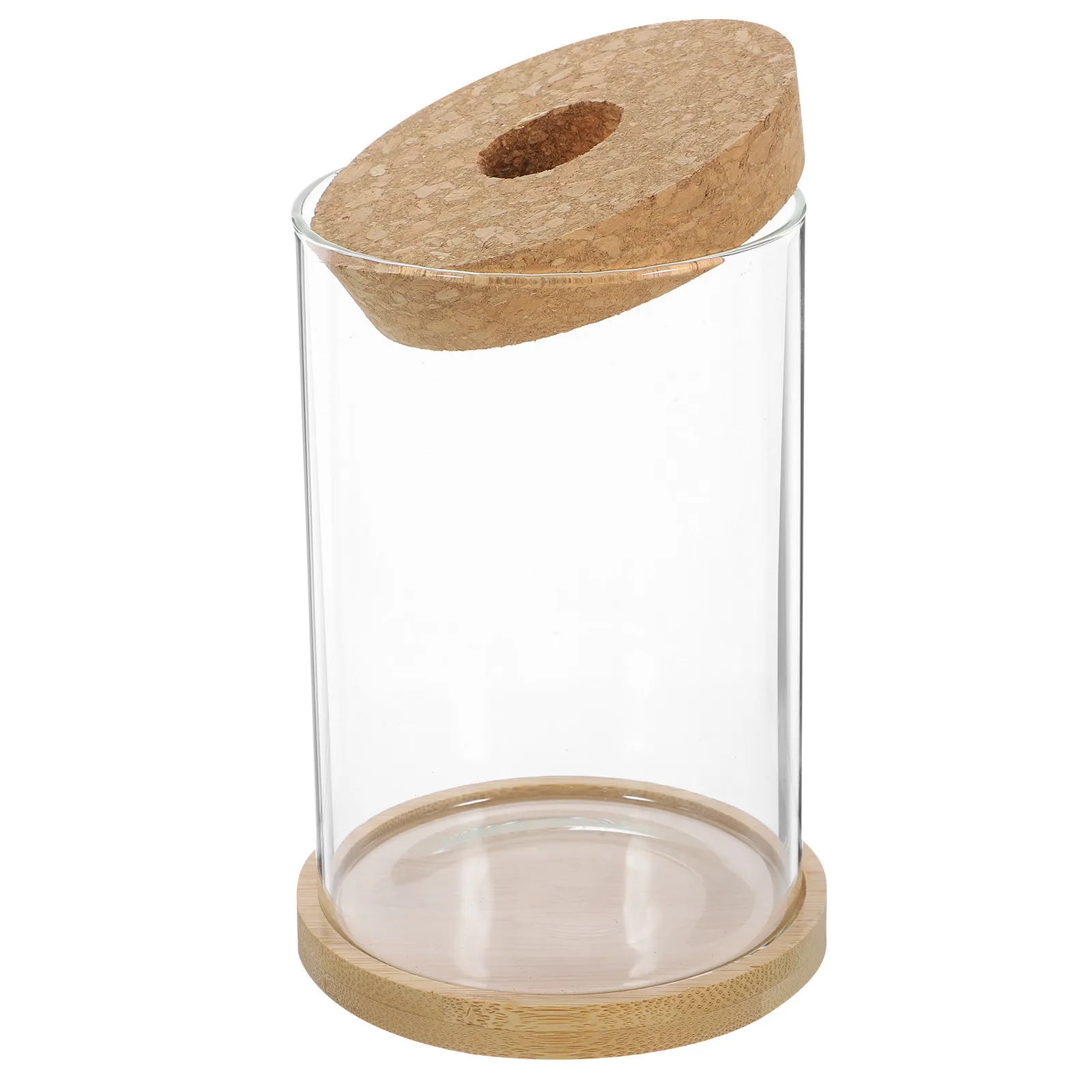 Glass Succulent Vase Bamboo Decorative Wedding Centerpiece Multi-Functional Clear Flower Holder for Home Office Dining Room