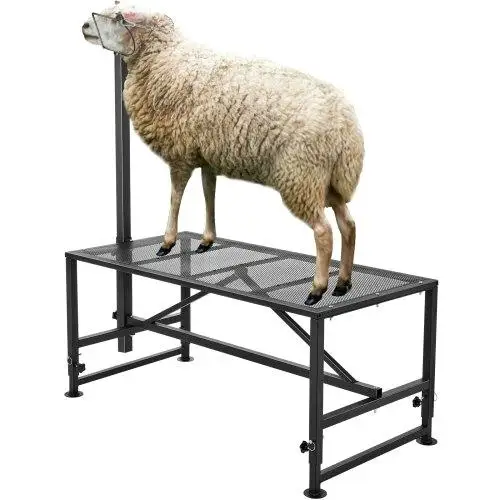 Adjustable Goat & Sheep Milking Stand 47x23in, Metal Livestock Shearing Station 21-33in Height, 500lbs Capacity, Black