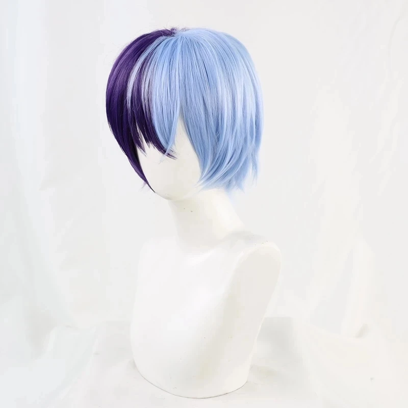Anime Aoyagi Toya Cosplay Wig Project SEKAI COLORFUL STAGE! Heat Resistant Hair Synthetic Wigs