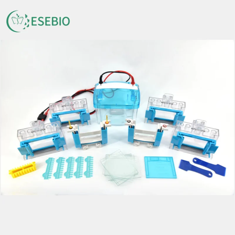 Mini Protein Electrophoresis Cell for For SDS PAGE Protein Electrophoresis