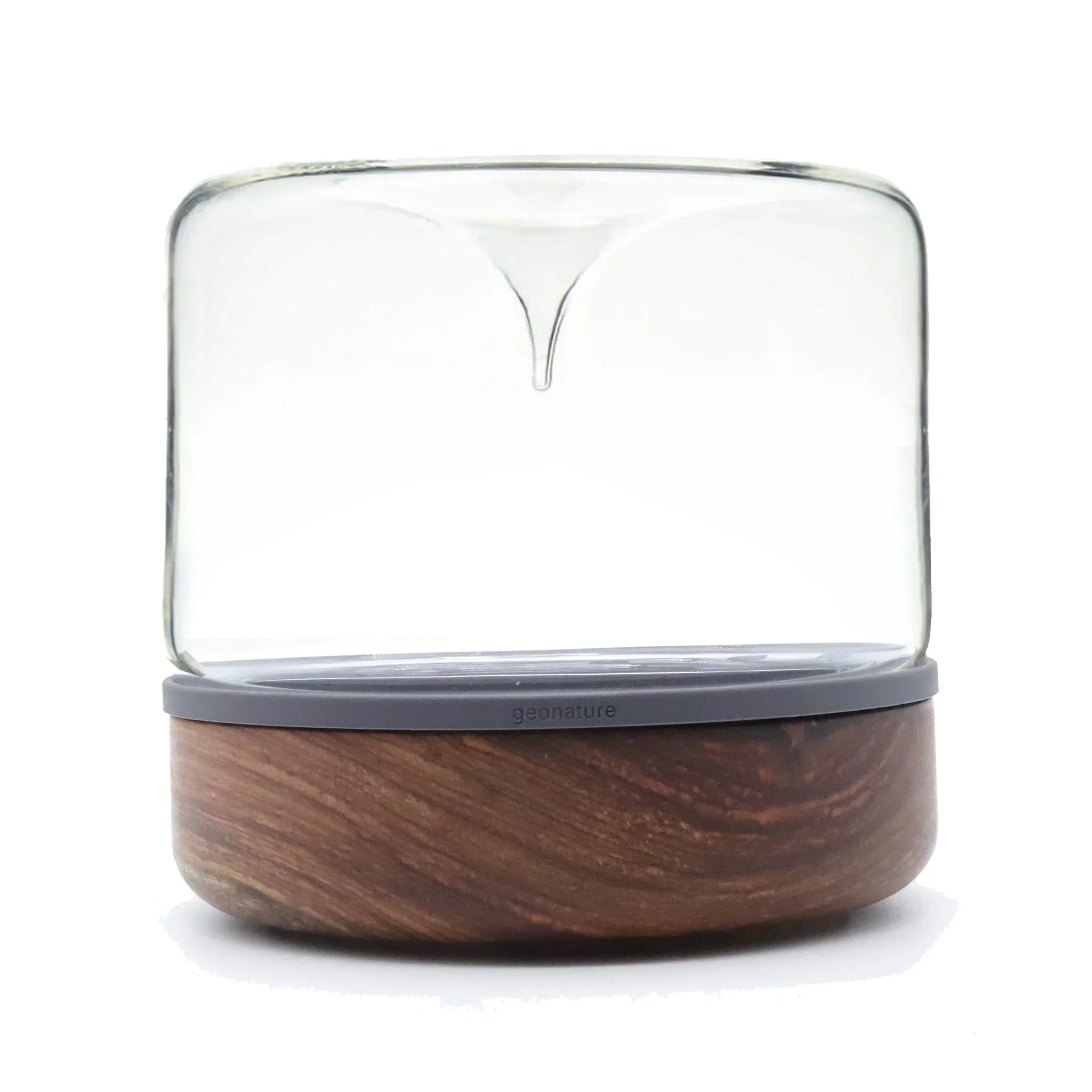 زجاجة Geonature Momo-M هندسية طبيعية متوسطة الطحلب ذات مناظر طبيعية صغيرة من الخشب الصلب