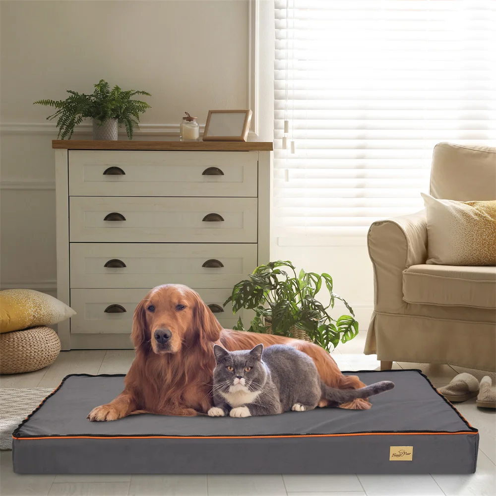 

Large Orthopedic Memory Foam Dog Bed Waterproof Pet Dog Crate with Orange Trim Washable Water Resistant