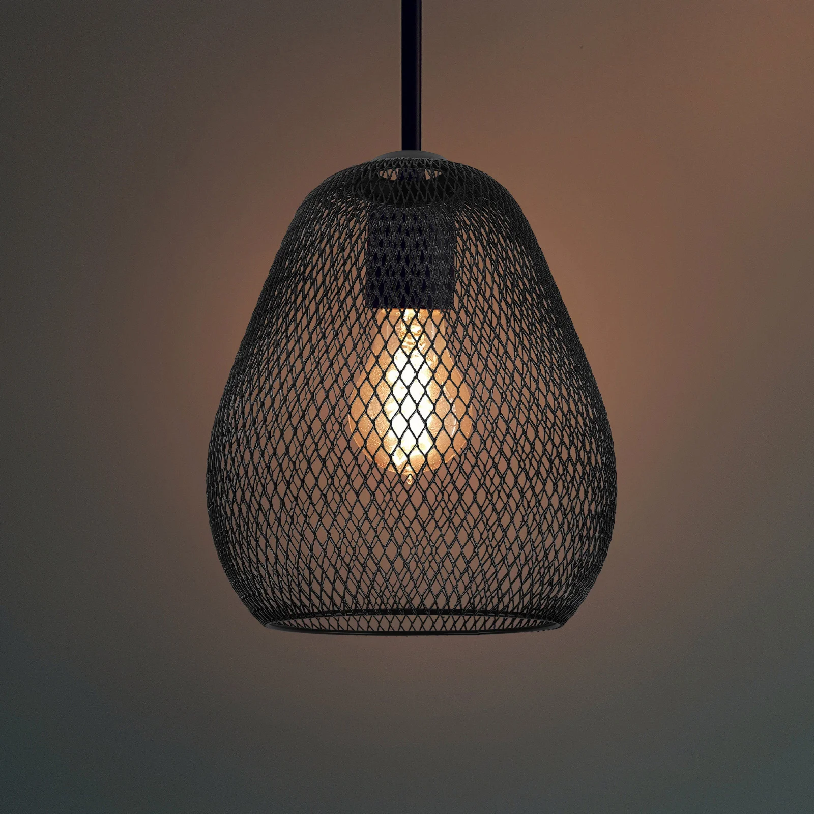 

Wrought Iron Hollow Lampshade Chandelier Metal Shades Hanging Black Pendant Light