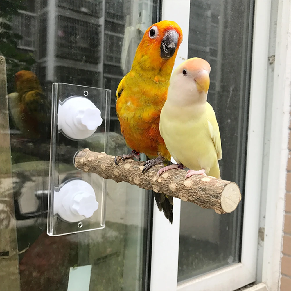 

1 Pc Stand Rack Bird Perches Practical Suction Cups Perch Stand Grinding Stand Toy for Pet Parrot (White)