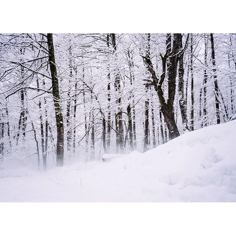 Fondo de fotografía de paisaje Natural de invierno bosque paisaje nevado viajes foto telones de fondo accesorios de estudio 21101 XJS-02