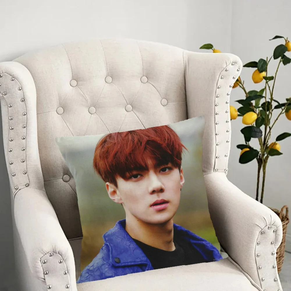 

Back Cushion Cover Oh Se Hun Decorative Pillows for Sofa 45 × 45 Cushion Cover Decoration Home Pillow 50x50 Cushions Covers