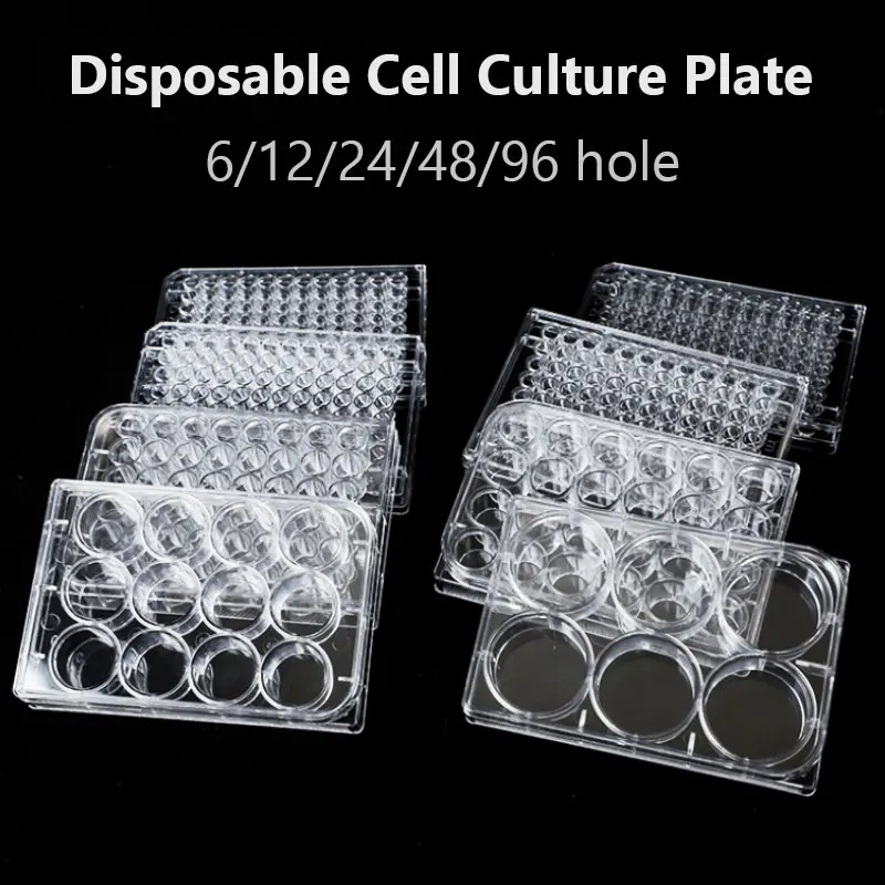 10pcs 6/12/24/48/96 hole Disposable Cell Culture Plate Bacterial Culture Plate Enzyme Label Plate Sterilization Packaging