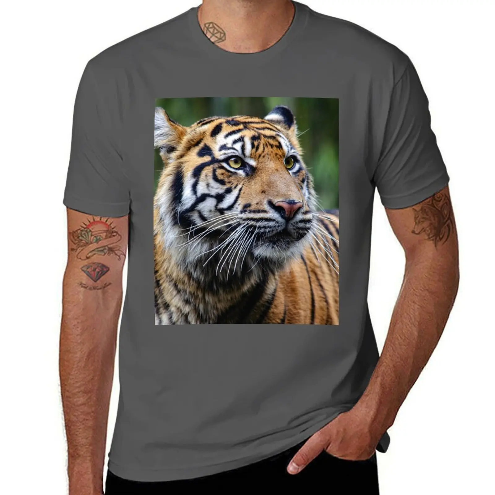 Face Male Adult Tiger Malayan Black Orange and T-Shirt Fitness Training Breathable Tee