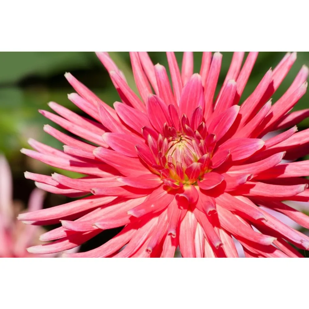 

HOTRC CT - 6A 6CH Radio Transmitter with Receiver Anti - interference for RC Toy Car Boat Drone High - cost RC Part