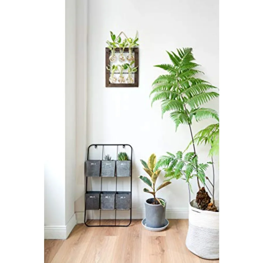 Propagation Station Wall Hanging Glass Planter, Flower Bulb Vase Plant Terrarium with Retro Wooden Stand Double Layer for Hydro