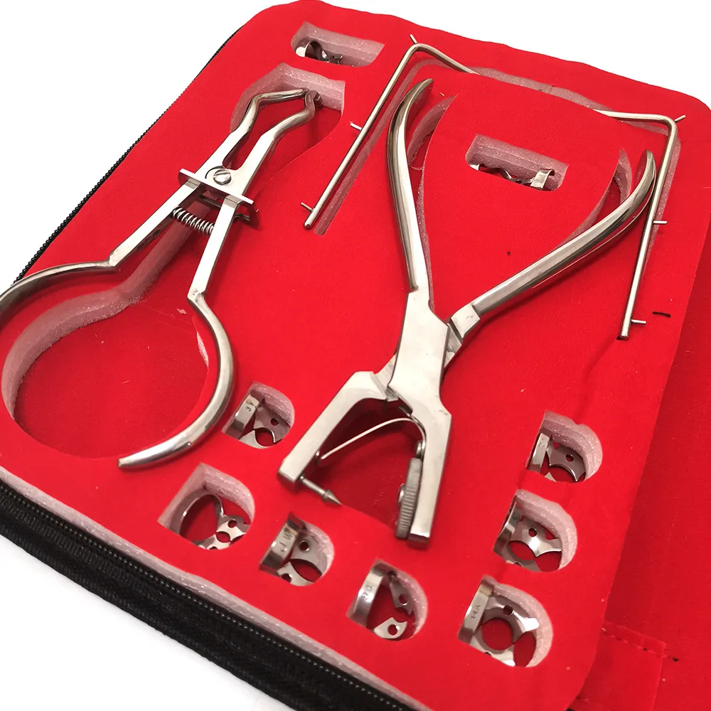 12pcs Dental Perforator Rubber Hole Puncher Set Teeth Care Pliers Orthodontic Tools Dentist Clinic Rubber Dam Puncher Lab Tools