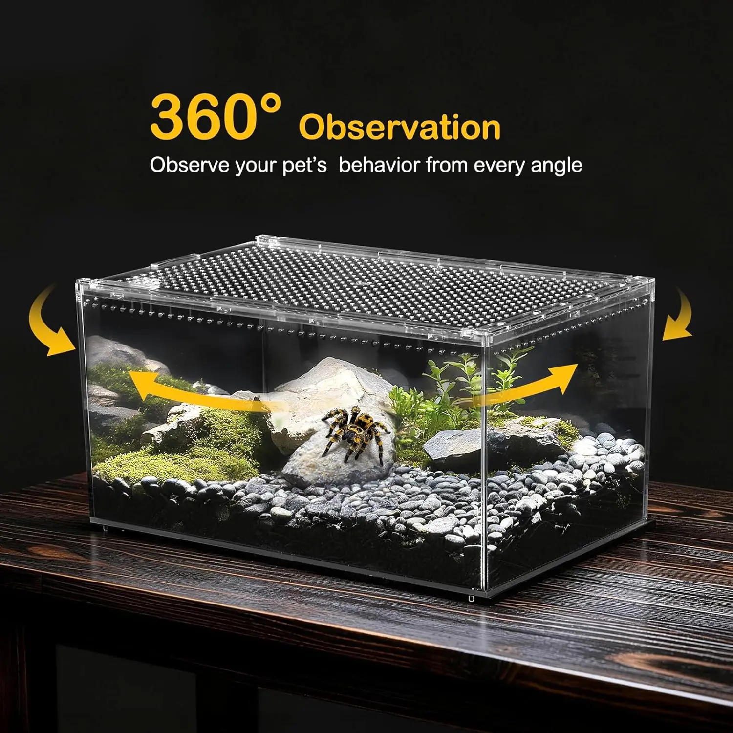 PC Transparent Reptile Terrarium Starter Kit Habitat Cage for Leopard Gecko Lizard Spider