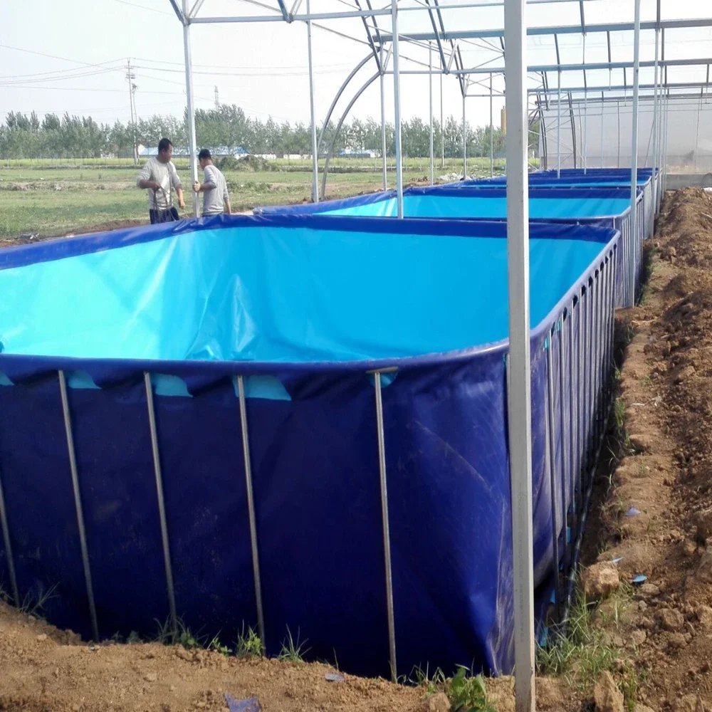 

Good 5-year-life-time Reusable Customized PVC Fish Pond Fish Farming Tank With Steel Frame Indoor And Outdoor Aquaculture Using