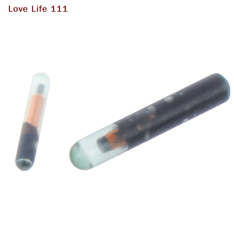 Nuevo Microchip RFID de 134.2KHZ para Animales, Etiqueta de Identificación para Peces, Perros y Gatos