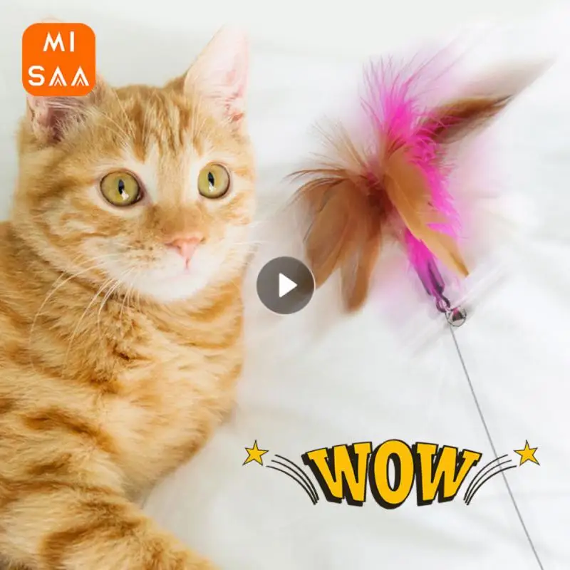 Training Toys Hands Free For Kittens Funny Interactive Multifunctional Cats Accessories Feather With Bell Self-help Toys For Cat